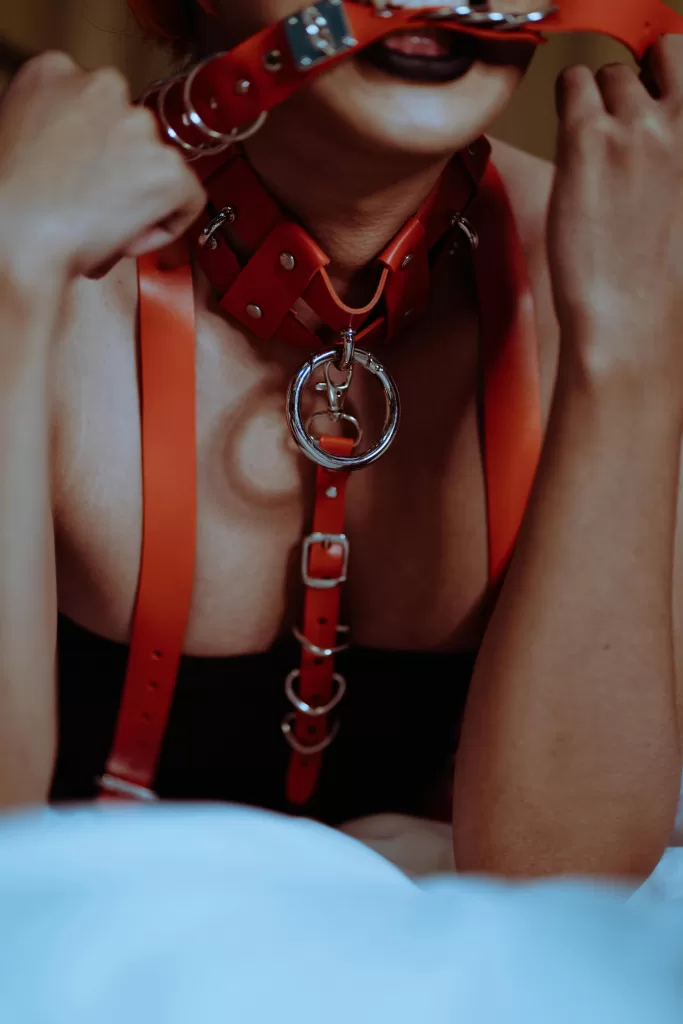 6 Things You Need To Know About BDSM Humiliation For Beginners 3 6 Things You Need To Know About BDSM Humiliation For Beginners 3