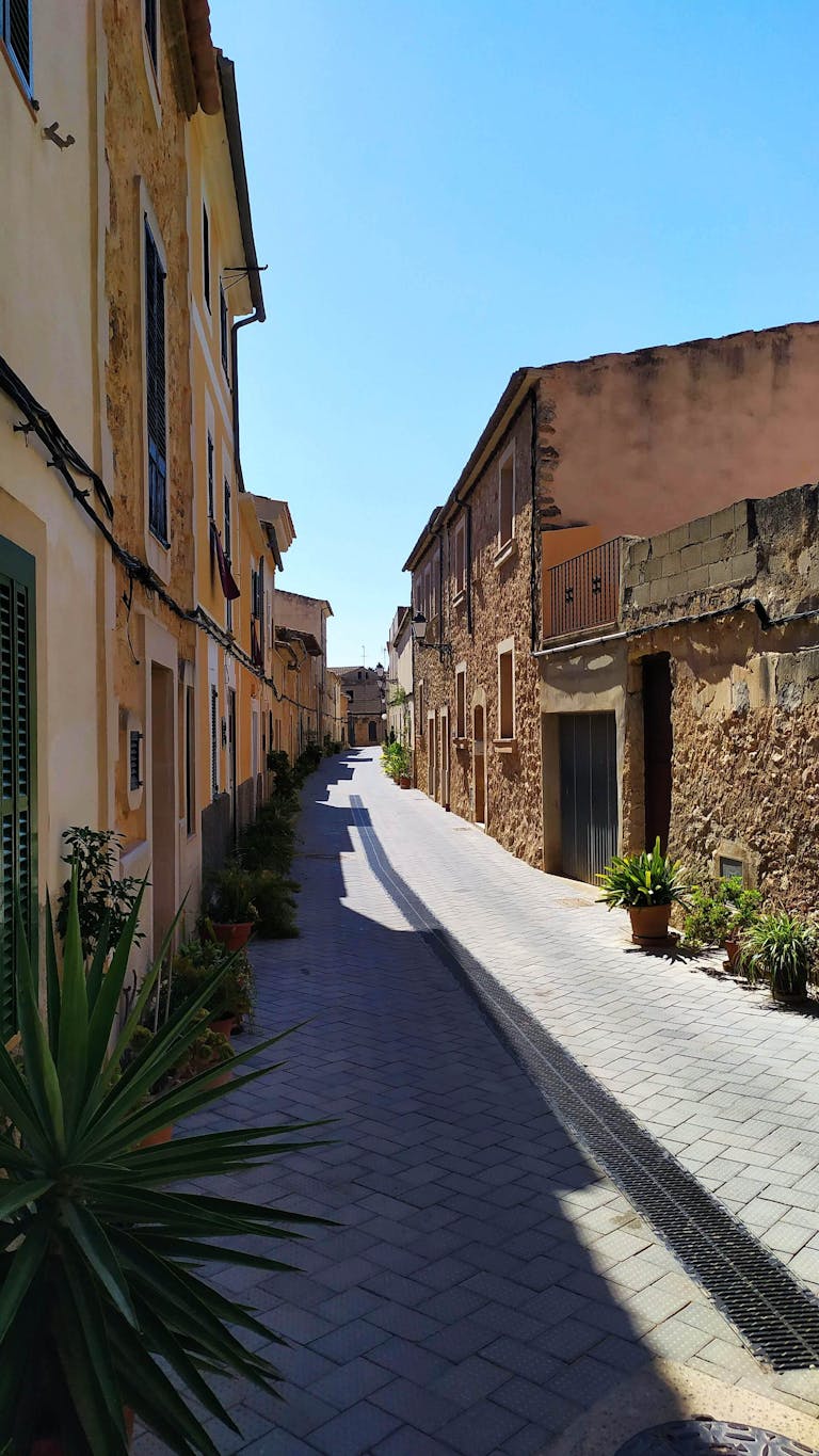 Quiet and sunlit narrow street with rustic buildings and lush plants.